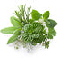 Herbal
