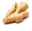 Ginger